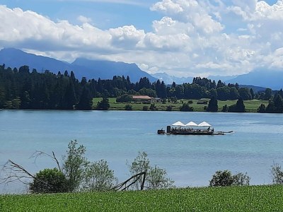 Holiday house Stella Alpina - Environment photo 24