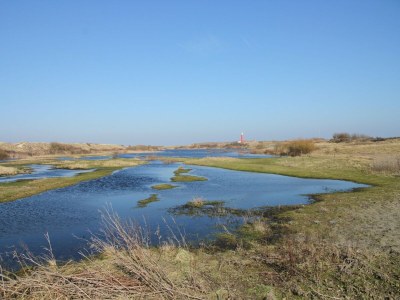 Apartment Apartment nahe De Slufter für 3 Von Belvilla - Outdoor photo 2