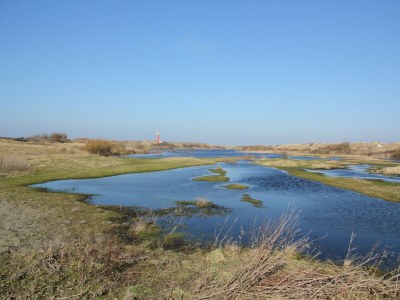 Apartment Apartment nahe De Slufter für 3 Von Belvilla - Environment photo 18