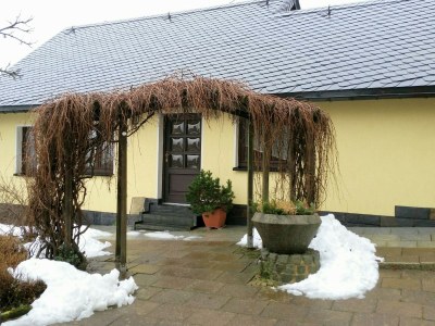 Holiday house & Holiday Flat Riedl - Outdoor photo 7