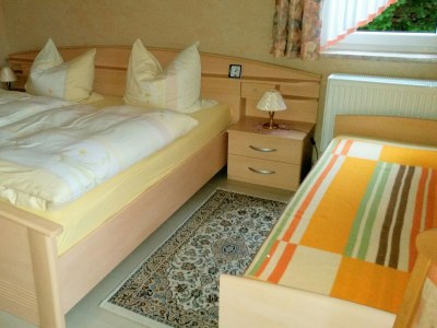 Holiday house & Holiday Flat Riedl - Features photo 11