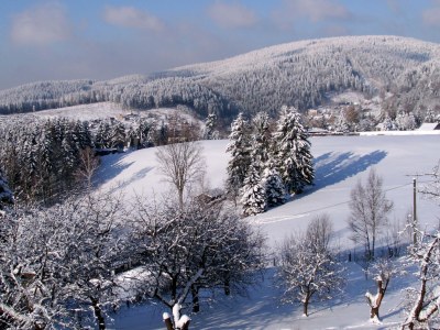 Holiday house & Holiday Flat Riedl - Environment photo 16