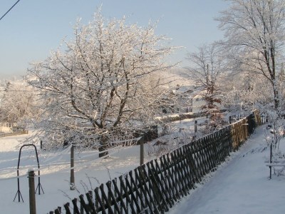 Holiday house & Holiday Flat Riedl - Environment photo 19