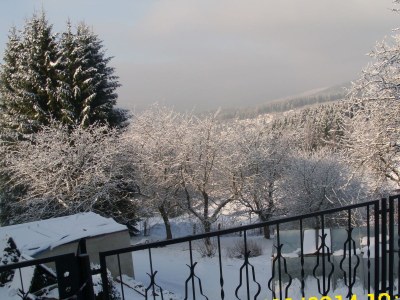 Holiday house & Holiday Flat Riedl - Environment photo 20