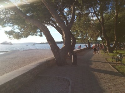 Holiday apartment Bebic - Environment photo 22