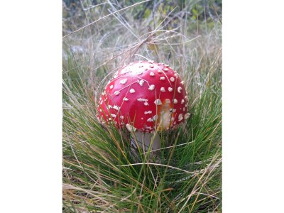 Holiday apartment - No title - - Environment photo 38