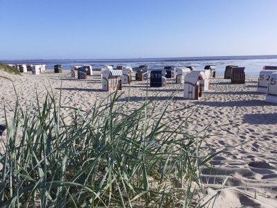 Holiday apartment "Seestern" - Environment photo 22