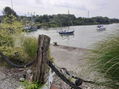 Holiday apartment "Seestern" - Environment photo 28