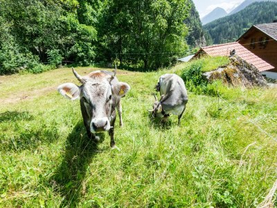 Holiday house Chalet in Ötz near Hochötz Ski Lift - Environment photo 30