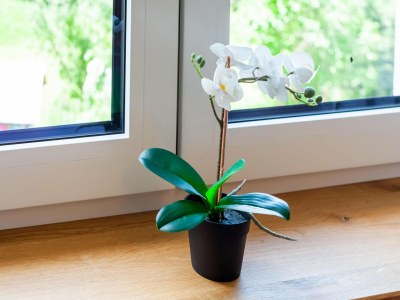 Holiday house Chalet in Ötz near Hochötz Ski Lift - Outdoor photo 38