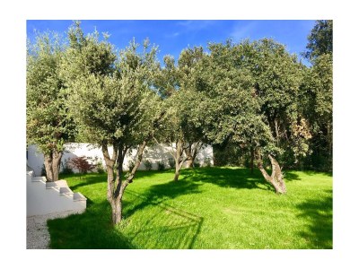 Holiday house Julie - Outdoor photo 2