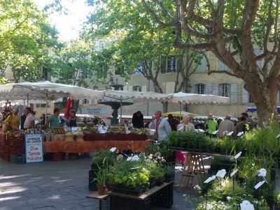 Holiday house Pierre et soleil - Environment photo 18