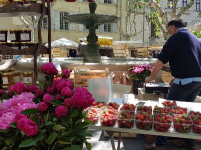 Holiday house Amélie - Environment photo 16