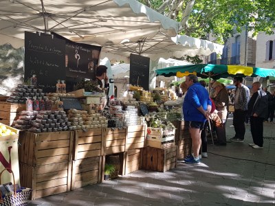 Holiday house Laurier - Environment photo 9