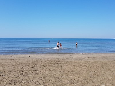 Holiday house Laurier - Environment photo 13