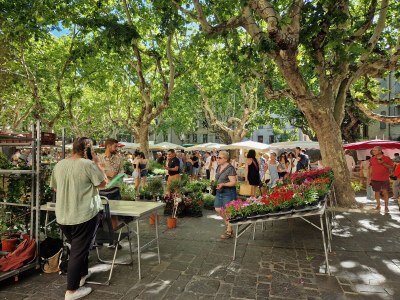 Holiday house Niki - Environment photo 34