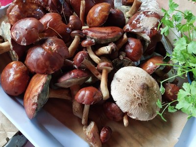 Holiday house Villa Rosenrot - Environment photo 40