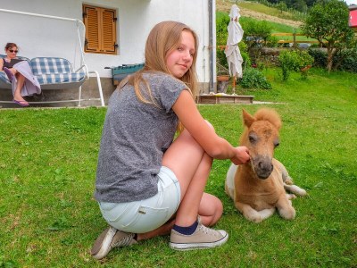 Farmhouse Lechnerhof - Outdoor photo 10