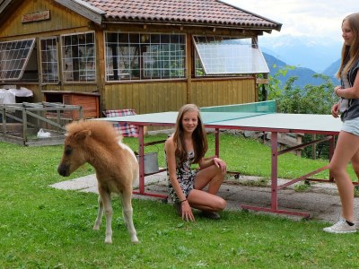 Farmhouse Lechnerhof - Outdoor photo 12