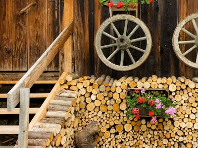 Farmhouse Lechnerhof - Outdoor photo 13