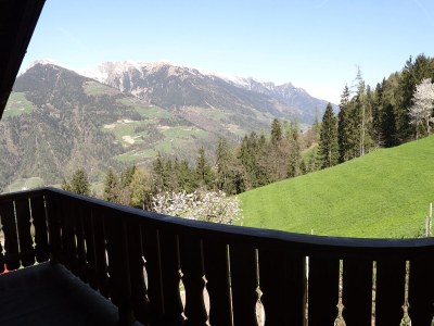 Farmhouse Lechnerhof - Features photo 20