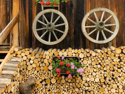 Farmhouse Lechnerhof - Features photo 22