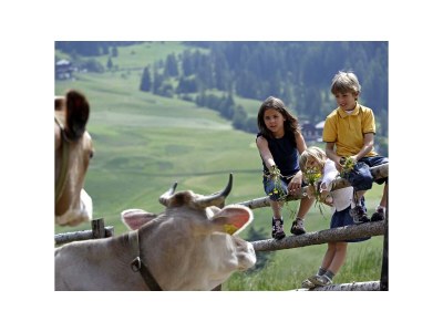 Farmhouse Lechnerhof - Environment photo 26