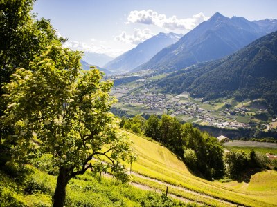 Farmhouse Lechnerhof - Environment photo 27