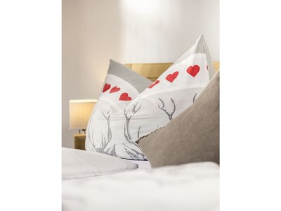 Chalet Chalet Modern Life - Features photo 9