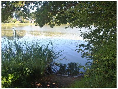 Holiday house Südensee - Outdoor photo 6