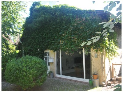 Holiday house Südensee - Outdoor photo 7