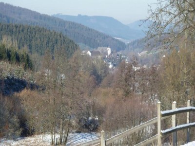 Apartment Gemütliche Ferienwohnung am Waldrand - Environment photo 29