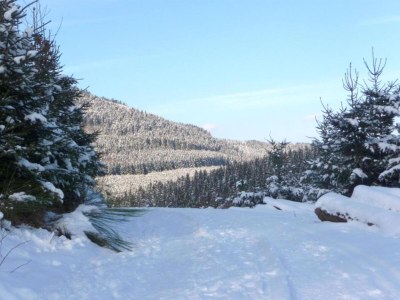 Apartment Gemütliche Ferienwohnung am Waldrand - Environment photo 30