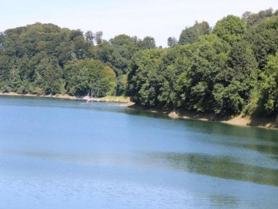 Apartment Gemütliche Ferienwohnung am Waldrand - Environment photo 31