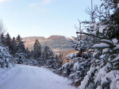 Apartment Gemütliche Ferienwohnung am Waldrand - Environment photo 35