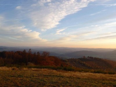 Apartment Gemütliche Ferienwohnung am Waldrand - Environment photo 37