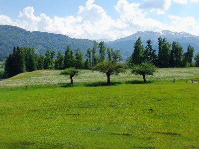 Holiday apartment Winterstaude - Outdoor photo 6