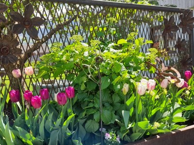 Holiday apartment Winterstaude - Outdoor photo 7