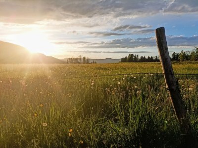 Holiday apartment Winterstaude - Outdoor photo 8