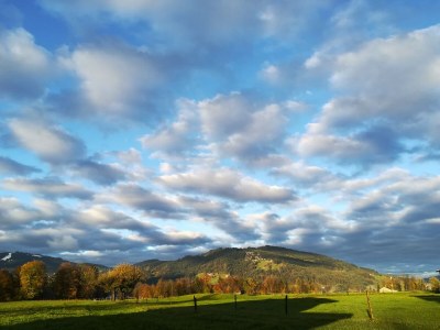 Holiday apartment Winterstaude - Outdoor photo 9