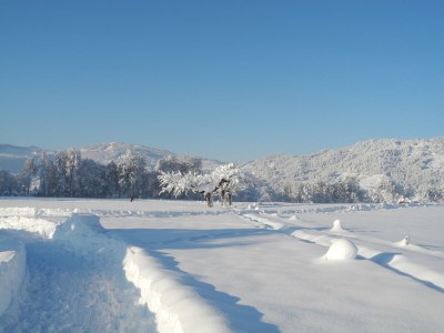 Holiday apartment Winterstaude - Outdoor photo 12