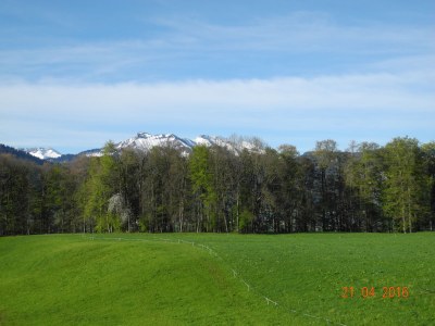 Holiday apartment Winterstaude - Environment photo 20