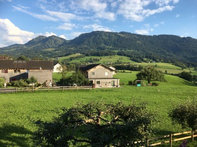 Holiday apartment Winterstaude - Environment photo 22