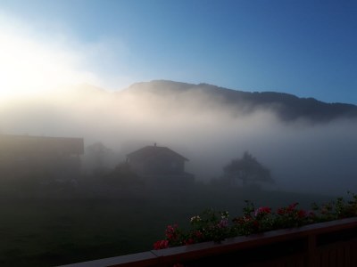 Holiday apartment Winterstaude - Environment photo 24