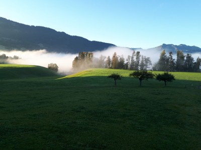 Holiday apartment Winterstaude - Environment photo 25