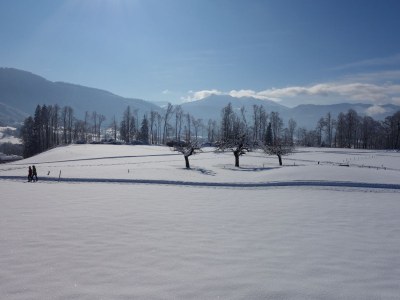 Holiday apartment Winterstaude - Environment photo 26