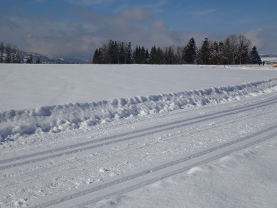 Holiday apartment Winterstaude - Environment photo 27