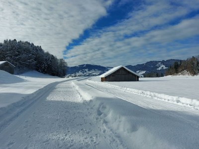 Holiday apartment Winterstaude - Environment photo 28