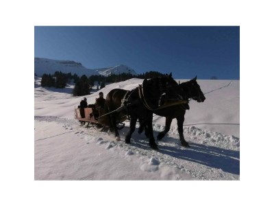 Holiday apartment Winterstaude - Environment photo 31