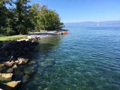 Holiday house Port Ripaille - Environment photo 13